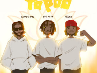 Kofi Mole - Yopoo Mp3 Download