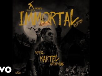 Vybz Kartel - ADIADKING Mp3 Download