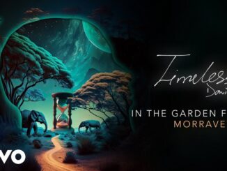 Davido - IN THE GARDEN Mp3 Download