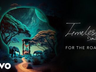 Davido - FOR THE ROAD Mp3 Download