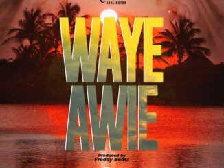 Kweku Darlington - Waye Awie