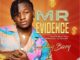 Smartboy Bizzy - Mr Evidence