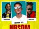 Nikey 20 - NBSOM REMIX