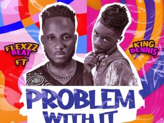 Flexzzbeat - Problem with it